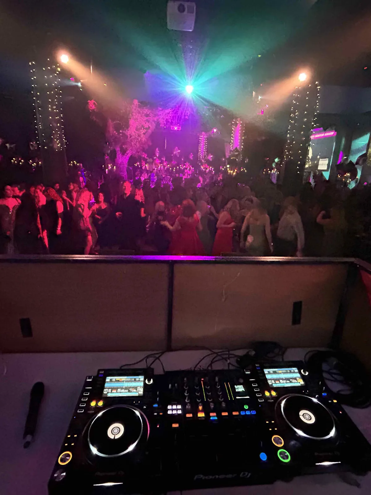 Packed dance floor seen from behind the decks